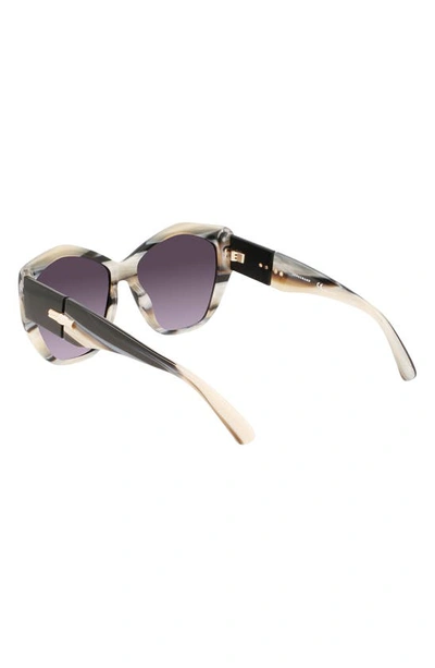 Shop Longchamp 57mm Roseau Tea Cup Sunglasses In Black Horn