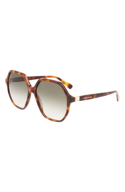 Longchamp 58mm Le Pliage Modified Rectangle Sunglasses In Havana