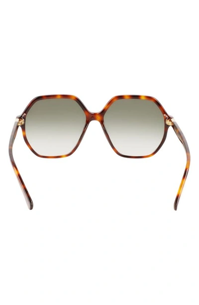 Longchamp 58mm Le Pliage Modified Rectangle Sunglasses In Havana