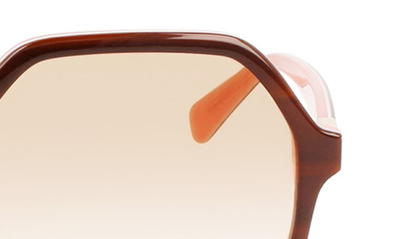 Shop Longchamp 58mm Le Pliage Modified Rectangle Sunglasses In Havana/ Rose
