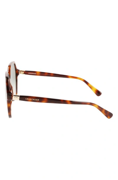 Longchamp 58mm Le Pliage Modified Rectangle Sunglasses In Havana