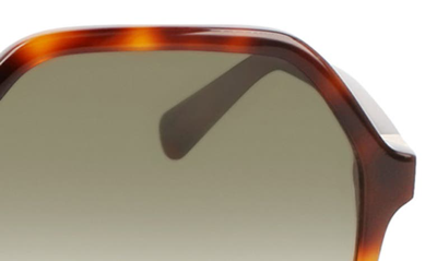 Longchamp 58mm Le Pliage Modified Rectangle Sunglasses In Havana