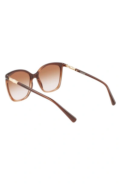 Shop Longchamp 56mm Roseau Tea Cup Sunglasses In Gradient Brown Rose