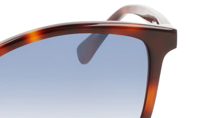 Shop Longchamp 57mm Le Pliage Tea Cup Sunglasses In Havana