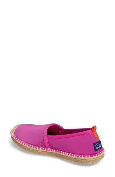 Shop Sea Star Beachwear Beachcomber Espadrille Water Shoe In Hot Pink