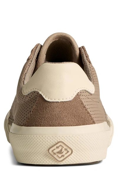 Shop Sperry Soletide Racy Sneaker In Taupe