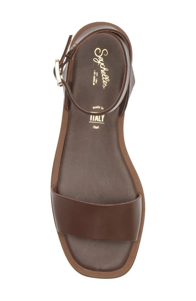 Shop Seychelles Note To Self Ankle Strap Sandal In Brown