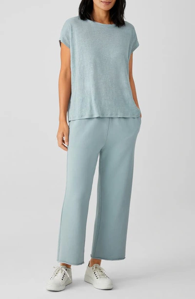 Shop Eileen Fisher Boxy Crewneck Top In Delphine