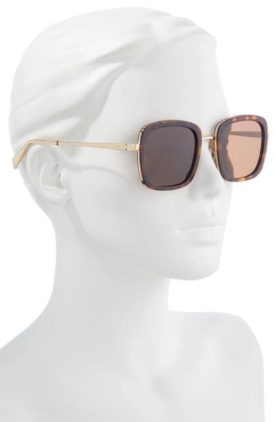 Shop Celine 53mm Square Sunglasses In Dark Havana / Brown