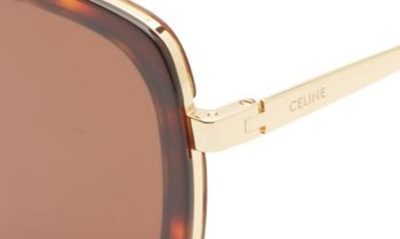 Shop Celine 53mm Square Sunglasses In Dark Havana / Brown