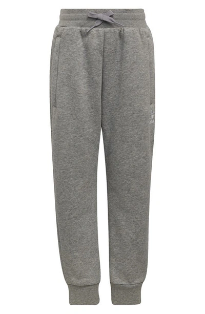 Shop Adidas Originals Kids' Adicolor Fleece Sweat Suit In Medium Grey