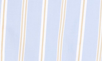 Shop Aknvas Mel Stripe Cotton Crop Top In Light Blue Stripe