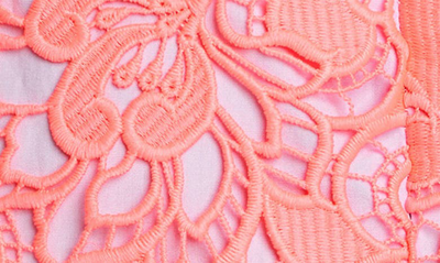 Shop Aknvas Bruna Lace Minidress In Hot Pink