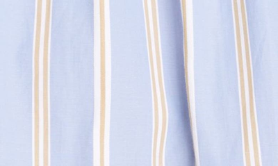 Shop Aknvas Fiona Stripe Rope Tie Cotton Tunic Shirt In Light Blue Stripe