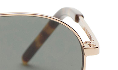 Shop Paige Jordan 49mm Round Sunglasses In Gold