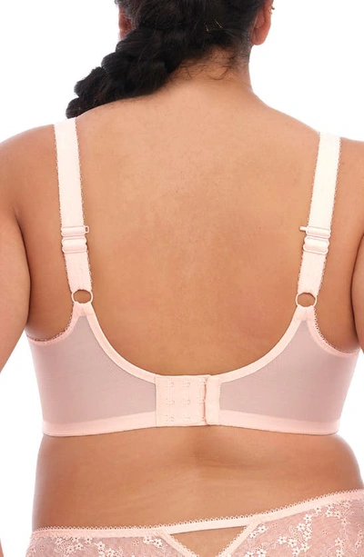Elomi Full Figure Charley Underwire Plunge Bra El4380 In Ballet Pink