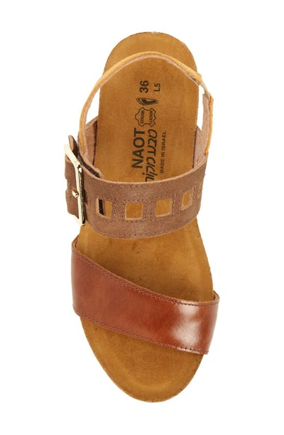 Shop Naot Dynasty Wedge Sandal In Maple Brown/brown/marigold