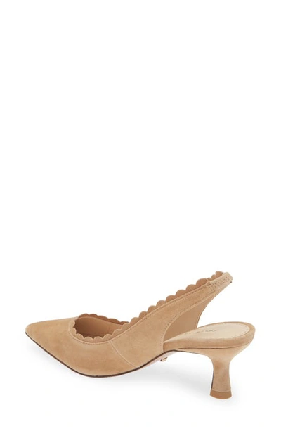 Shop Pelle Moda Kelsa Slingback Pump In Latte