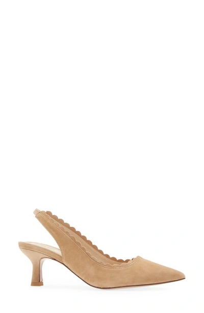 Shop Pelle Moda Kelsa Slingback Pump In Latte