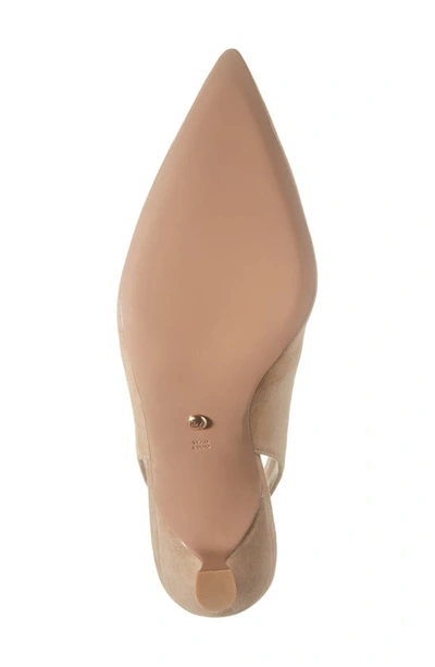 Shop Pelle Moda Kelsa Slingback Pump In Latte