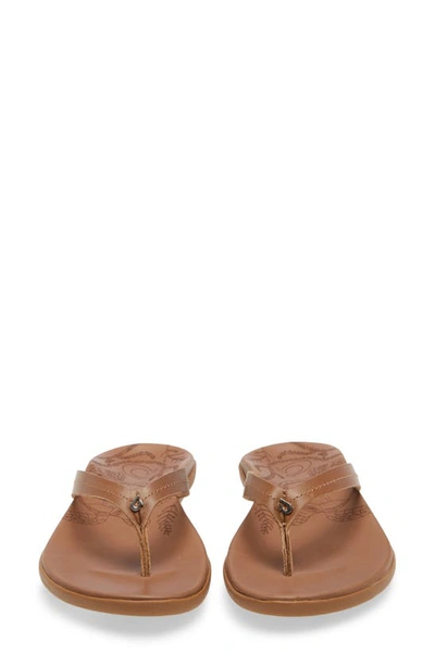 Shop Olukai Honu Flip Flop In Tan/ Tan Leather