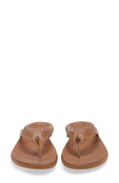 Olukai Honu Flip Flop In Tan/ Tan Leather