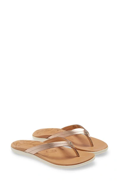 Shop Olukai Honu Flip Flop In Pink Copper/ Sahara Leather