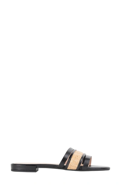 Patricia Green Amalfi Slide Sandal In Black