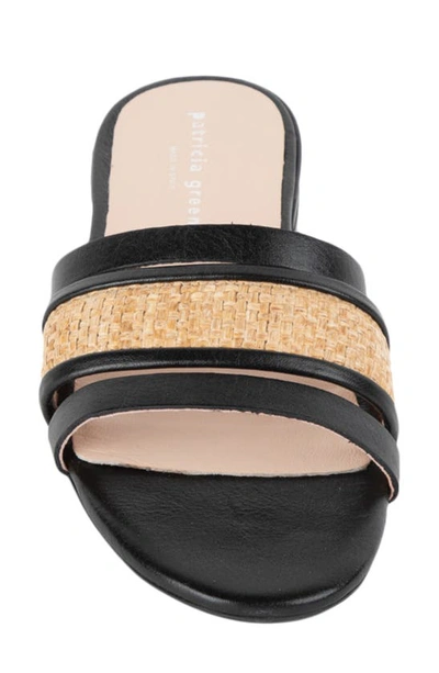 Shop Patricia Green Amalfi Slide Sandal In Black