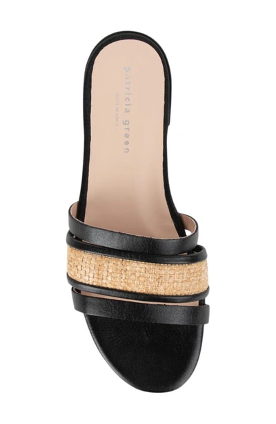 Shop Patricia Green Amalfi Slide Sandal In Black