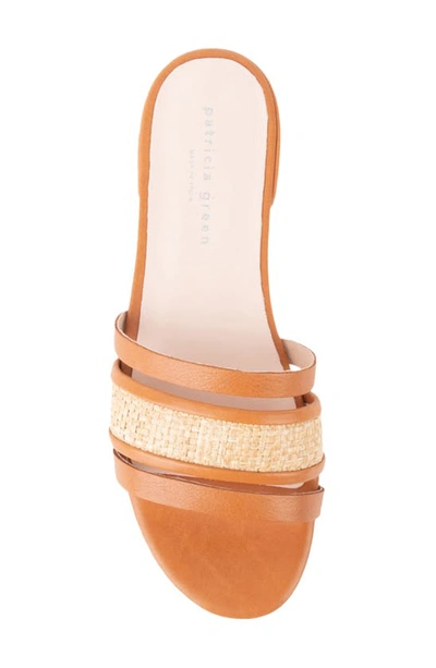 Shop Patricia Green Amalfi Slide Sandal In Cognac