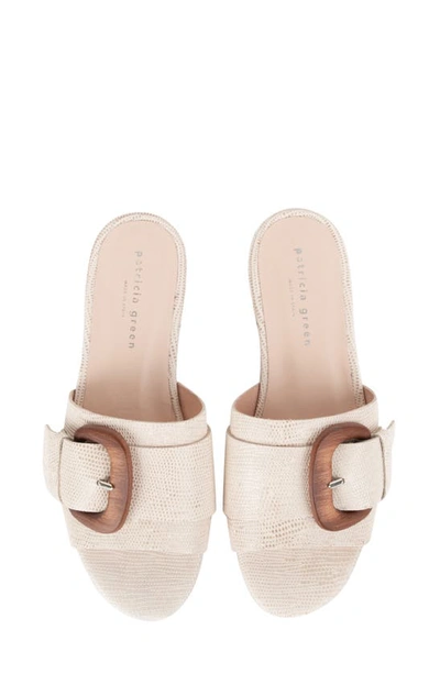 Patricia Green Venice Buckle Slide Sandal In Cream