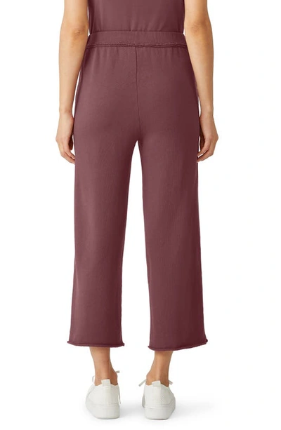 Shop Eileen Fisher Crop Straight Leg Organic Cotton Pants In Fig
