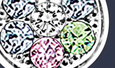 Chanteur Kids' Penguin Stud Earrings In Multi