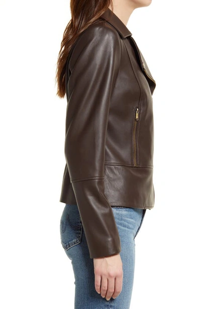 Shop Sam Edelman Peplum Back Leather Jacket In Brown