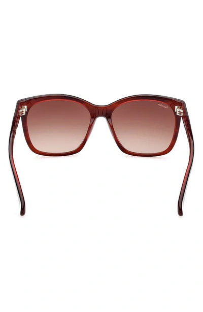 Shop Max Mara 56mm Gradient Square Sunglasses In Shiny Bilayer Red Horn Opal