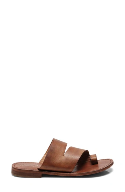 Shop Free People Abilene Toe Loop Sandal In Luggage