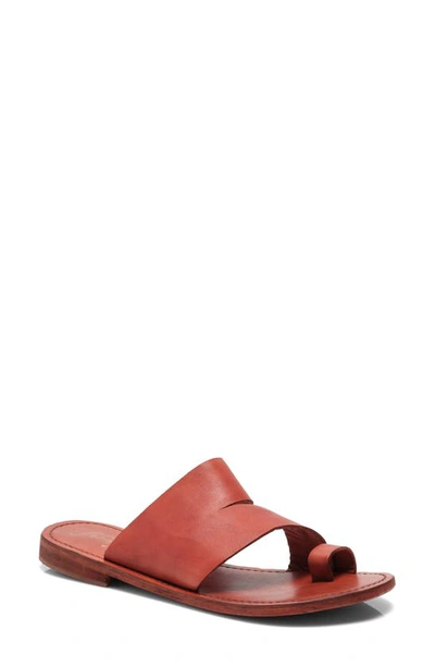 Shop Free People Abilene Toe Loop Sandal In Rare Sienna