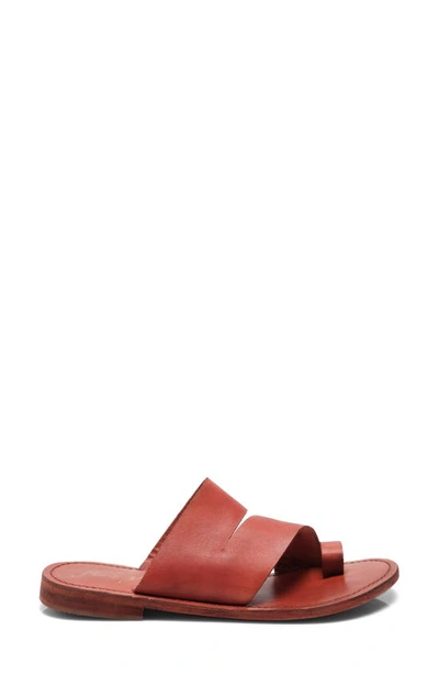 Free People Abilene Toe Loop Sandal In Rare Sienna