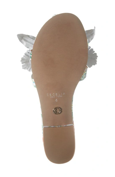 Shop Cecelia New York Lila Slide Sandal In Green Floral Snake