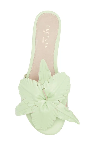 Shop Cecelia New York Lila Slide Sandal In Mint