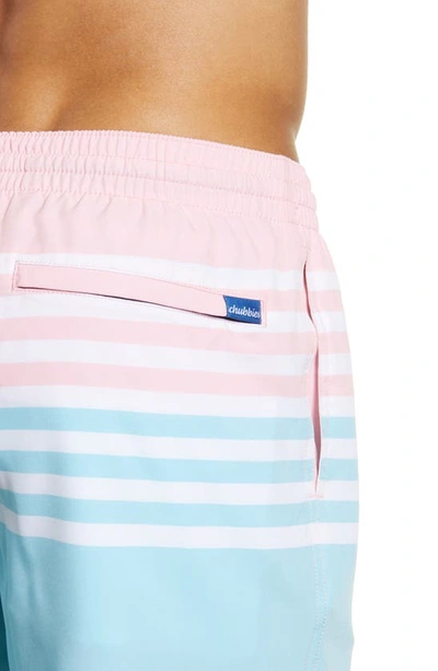 Shop Chubbies 5.5-inch Swim Trunks In The On The Horizons