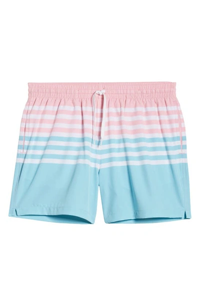 Shop Chubbies 5.5-inch Swim Trunks In The On The Horizons