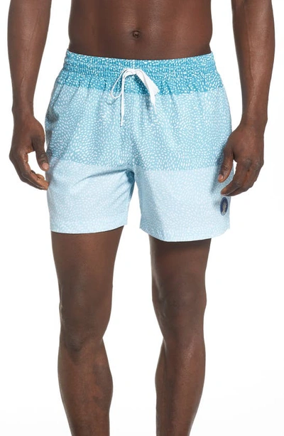 Shop Chubbies 5.5-inch Swim Trunks In The Whale Sharks