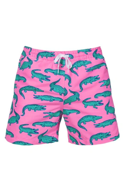 Shop Chubbies 5.5-inch Swim Trunks In The Glades