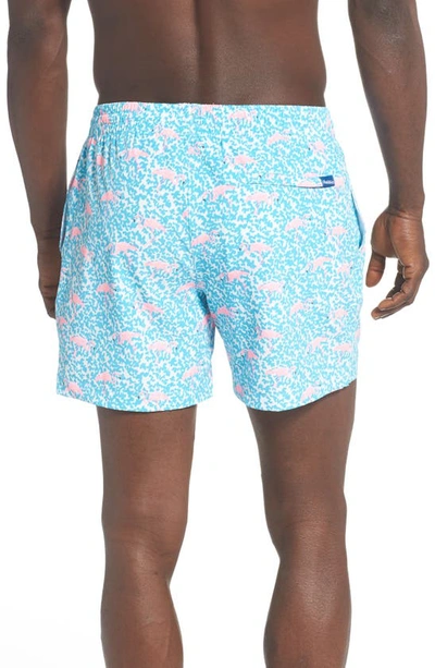 Shop Chubbies 5.5-inch Swim Trunks In The Domingos Are For Flamingos