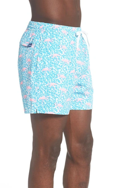 Shop Chubbies 5.5-inch Swim Trunks In The Domingos Are For Flamingos