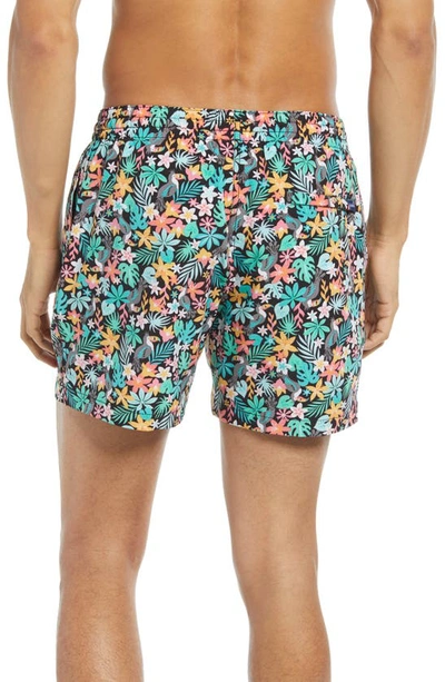 Shop Chubbies 5.5-inch Swim Trunks In The Bloomerangs