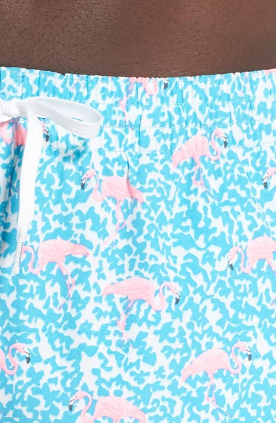 Shop Chubbies 5.5-inch Swim Trunks In The Domingos Are For Flamingos