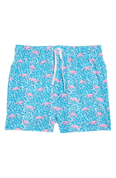 Shop Chubbies 5.5-inch Swim Trunks In The Domingos Are For Flamingos